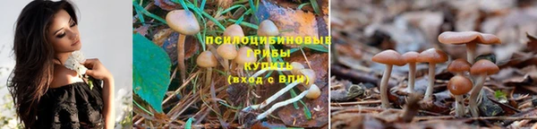 дмт Козельск