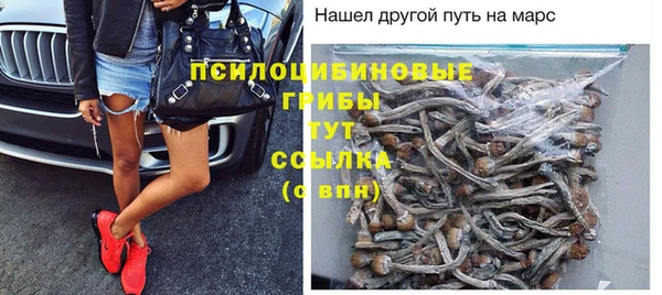 spice Карпинск