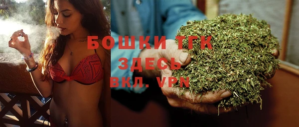 spice Карпинск